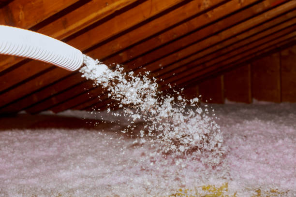 Best Types of Insulation in Flora, MS