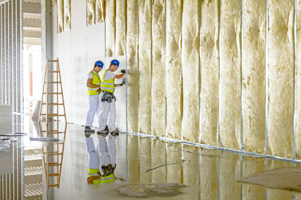 Best Insulation Maintenance and Repair in Flora, MS